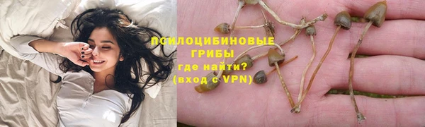 ПСИЛОЦИБИНОВЫЕ ГРИБЫ Абдулино
