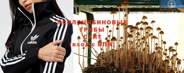 МДПВ Абинск