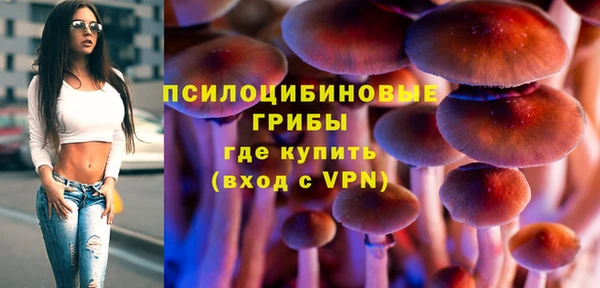 ПСИЛОЦИБИНОВЫЕ ГРИБЫ Абдулино