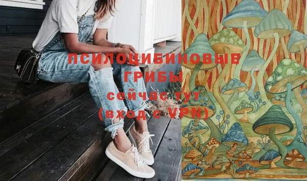 ПСИЛОЦИБИНОВЫЕ ГРИБЫ Абдулино