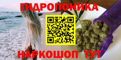 стаф Обь