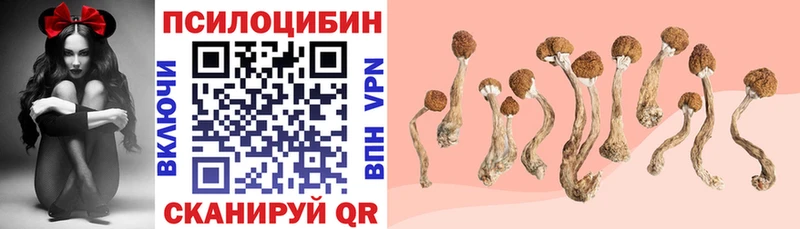 Галлюциногенные грибы Magic Shrooms  Серпухов 
